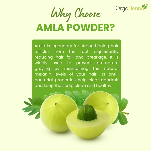100%_Natural_Amla_Powder_Hair_Pack_For_Unisex