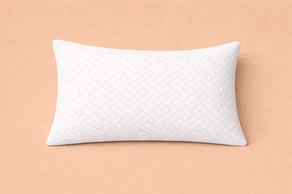 Frost_White_Ultrasonic_200_GSM_Soft_Microfiber_No_Stitch_Design_Breathable_&_Durable_Premium_Quality_Pillow_Protector_(Pack_Of_2)