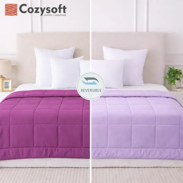 Plum_&_Pale_Purple_Ultra_Soft_Microfiber_Reversible_King_Size_AC_Comforter_Set_220_GSM_