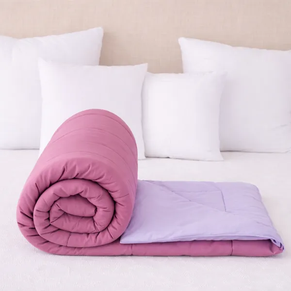 Plum_&_Pale_Purple_Ultra_Soft_Microfiber_Reversible_King_Size_AC_Comforter_Set_220_GSM_