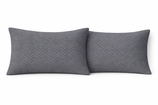 Charcoal_Grey_Ultrasonic_200_GSM_Soft_Microfiber_No_Stitch_Design_Breathable_&_Durable_Premium_Quality_Pillow_Protector_(Pack_Of_2)