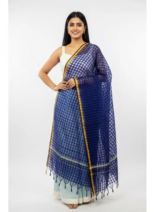 Navy_Banarasi_Bada_Check_/_Self-Color_Checkered_Dupatta_For_Women