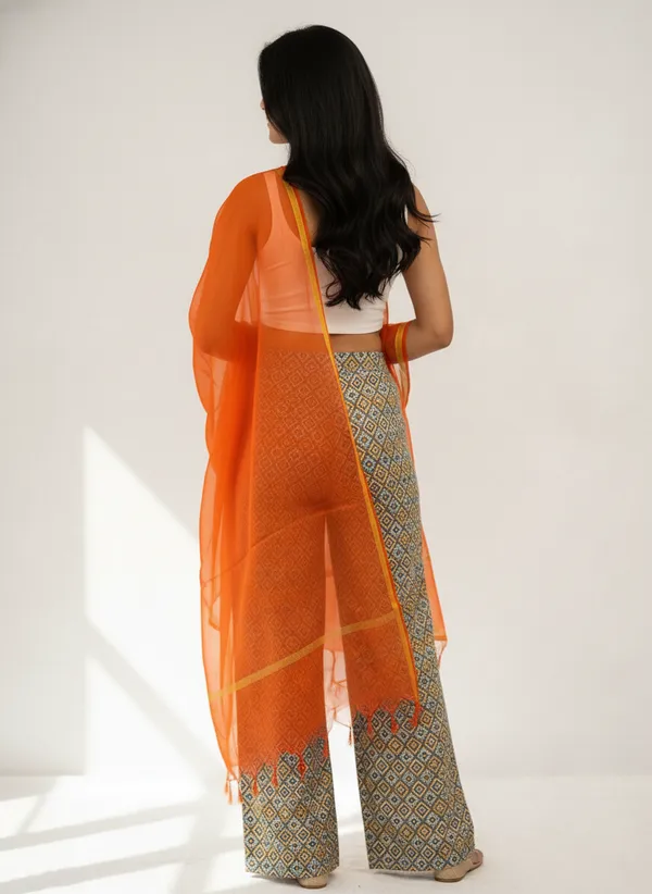 Orange_Banarasi_Plain_Dupatta_with_Zari_Border_for_Women_|_Lightweight_Traditional_Ethnic_Dupatta