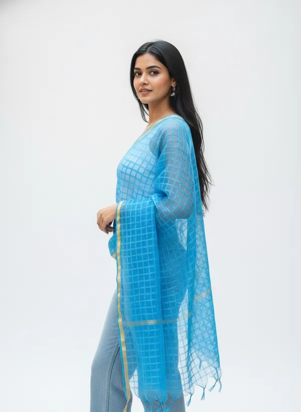 Light_Blue_Banarasi_Bada_Check_/_Self-Color_Checkered_Dupatta_For_Women