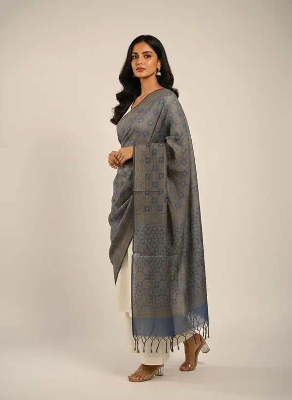 Salte_Grey_Banarasi_Jaal_Work__/_Self-Color_Cotton_Silk_Zari_Checkered_Dupatta_For_Women