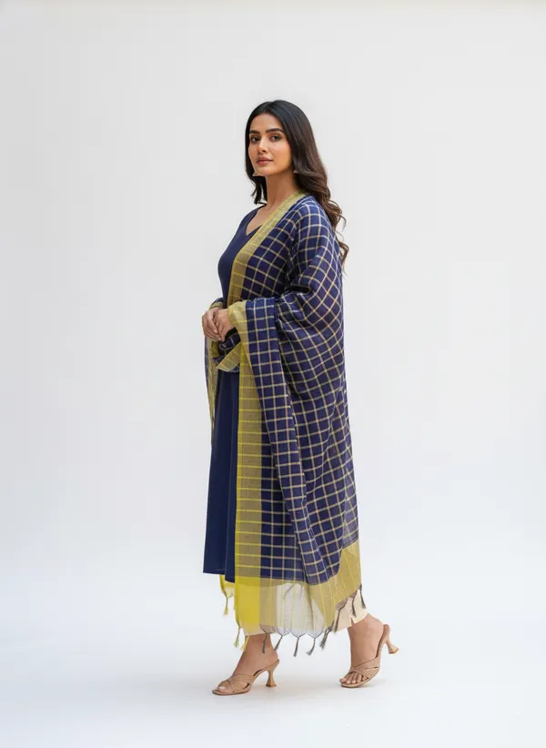 Navy_Blue_Banarasi_Thread_Work_Checkered_Dupatta_For_Women