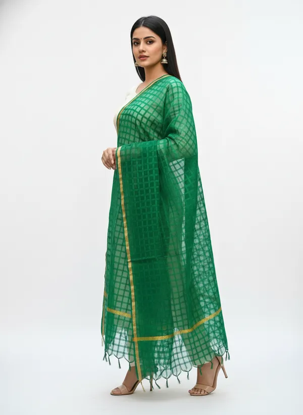 Bottle_Green_Banarasi_Bada_Check_/_Self-Color_Checkered_Dupatta_For_Women
