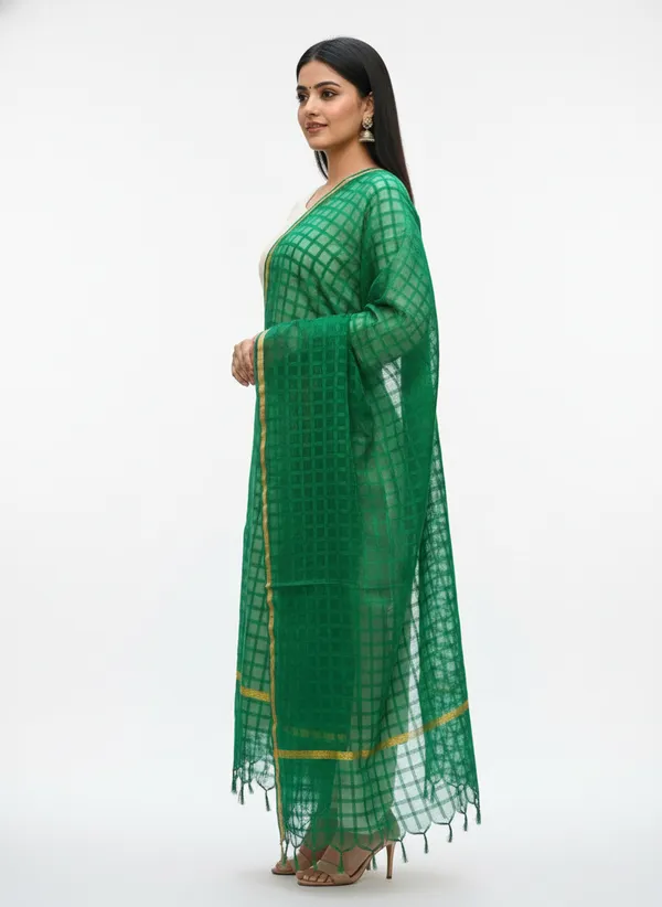 Bottle_Green_Banarasi_Bada_Check_/_Self-Color_Checkered_Dupatta_For_Women