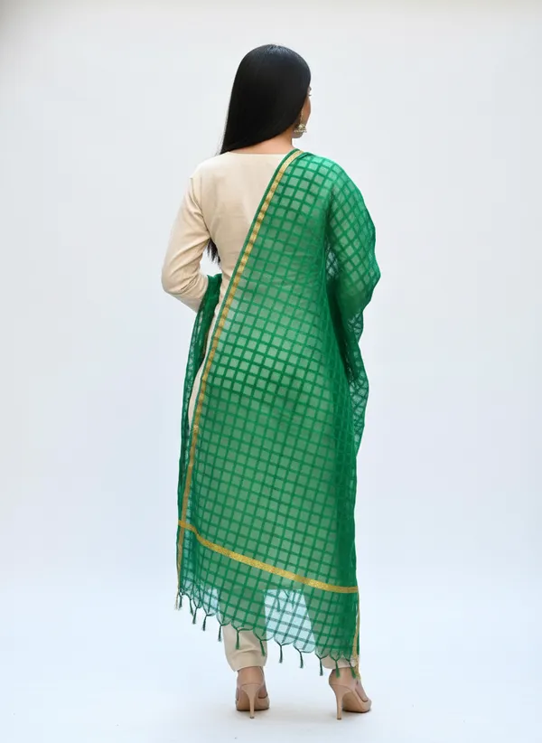 Bottle_Green_Banarasi_Bada_Check_/_Self-Color_Checkered_Dupatta_For_Women