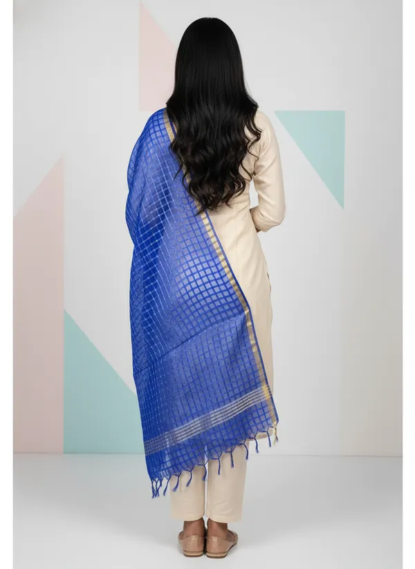 Royal_Blue_Banarasi_Bada_Check_/_Self-Color_Checkered_Dupatta_For_Women