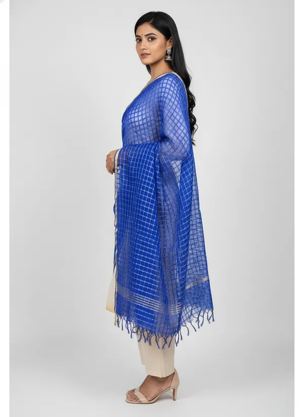 Royal_Blue_Banarasi_Bada_Check_/_Self-Color_Checkered_Dupatta_For_Women