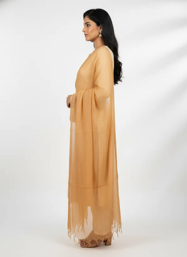 Beige_Banarasi_Moonga_Check_Dupatta_For_Women