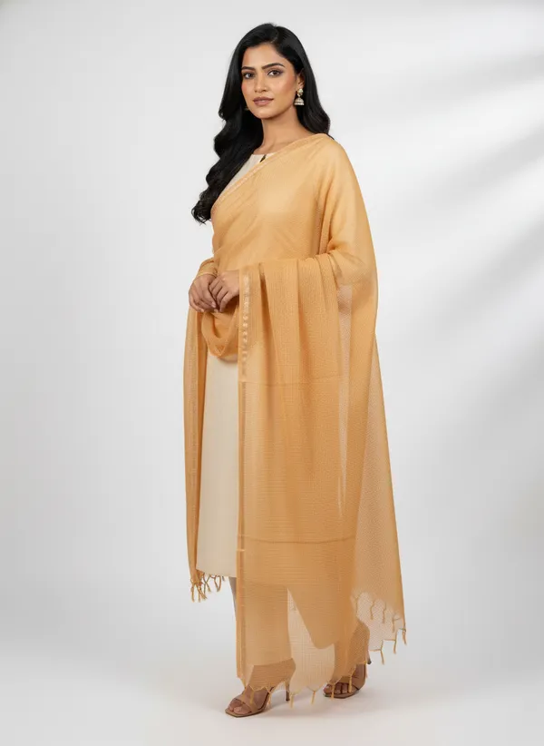 Beige_Banarasi_Moonga_Check_Dupatta_For_Women