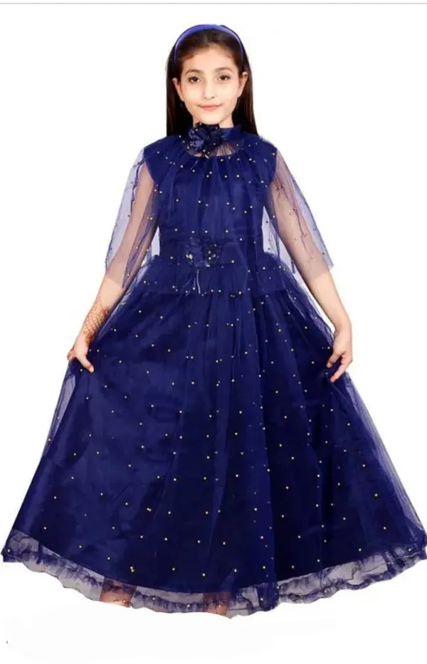 Blue_Premium_Net_party__Dress_For_Kids_Girls