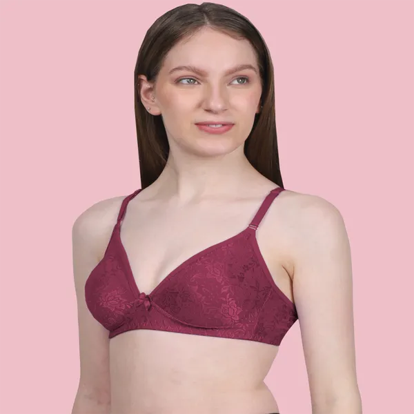 Arise_Beauty_Sleek_Fit_Smooth_Net_Combo_(Magenta/Purple)_Bra,_Deep_Kneck,_Straight_Back,_Non-padded,_Wire-free