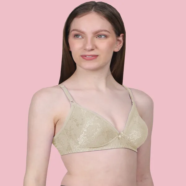 Arise_Beauty_Sleek_Fit_Smooth_Net_(Beige)_Bra,_Deep_Kneck,_Straight_Back,_Non-padded,_Wire-free