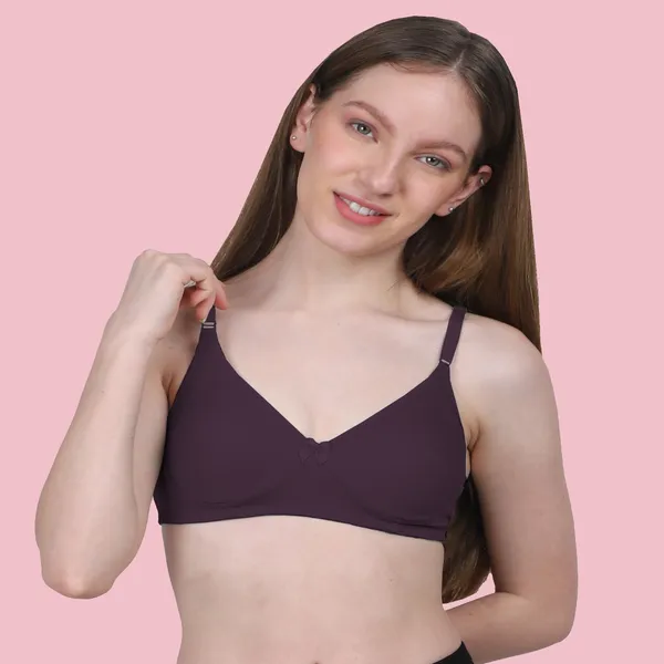 Arise_Beauty_Comfirt_Fit_Combo_(Wax-Berry/Nude)_T-shirt_Bra,_Non_Padded,_Wire-free
