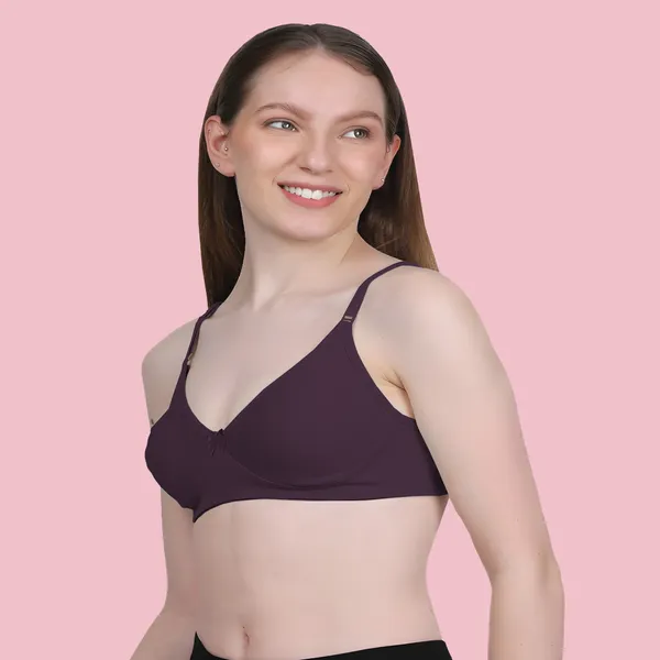 Arise_Beauty_Comfirt_Fit_Combo_(Wax-Berry/Nude)_T-shirt_Bra,_Non_Padded,_Wire-free