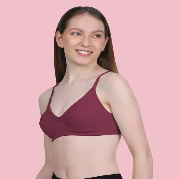 Arise_Beauty_Comfirt_Fit_Combo_(Magenta/Purple)_T-shirt_Bra,_Non_Padded,_Wire-free