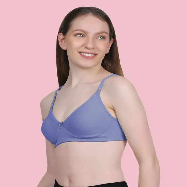 Arise_Beauty_Comfirt_Fit_Combo_(Magenta/Purple)_T-shirt_Bra,_Non_Padded,_Wire-free