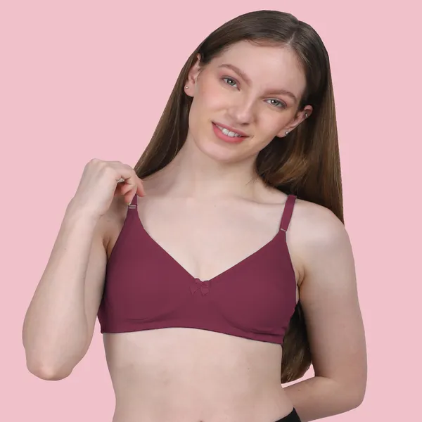 Arise_Beauty_Comfirt_Fit_Combo_(Magenta/Purple)_T-shirt_Bra,_Non_Padded,_Wire-free