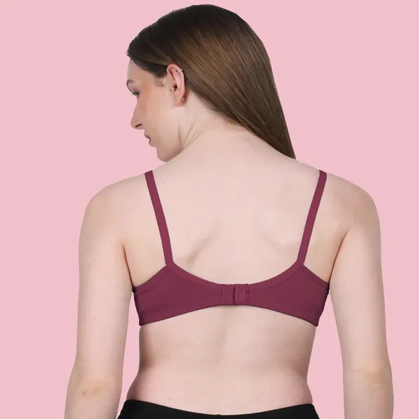 Arise_Beauty_Comfirt_Fit_Combo_(Magenta/Purple)_T-shirt_Bra,_Non_Padded,_Wire-free