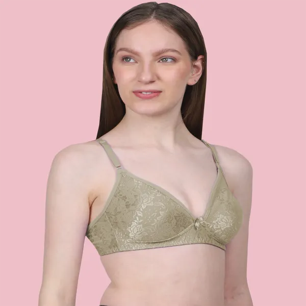 Arise_Beauty_Sleek_Fit_Smooth_Net_(Nude)_Bra,_Deep_Kneck,_Straight_Back,_Non-padded,_Wire-free