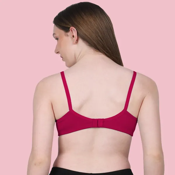 Arise_Beauty_Comfirt_Fit_Combo_(White/Deep-Pink)_T-shirt_Bra,_Non_Padded,_Wire-free