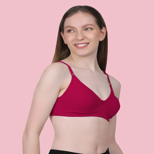 Arise_Beauty_Comfirt_Fit_Combo_(White/Deep-Pink)_T-shirt_Bra,_Non_Padded,_Wire-free