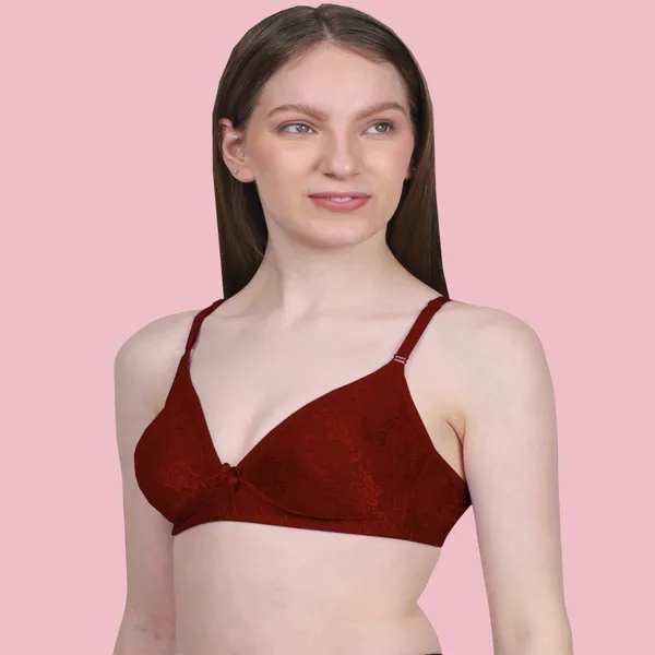 Arise_Beauty_Sleek_Fit_Smooth_Net_(Maroon)_Bra,_Deep_Kneck,_Straight_Back,_Non-padded,_Wire-free