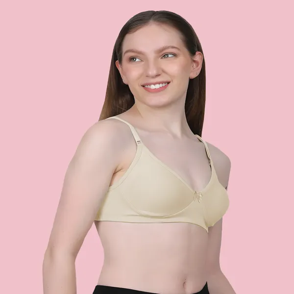 Arise_Beauty_Comfirt_Fit_Combo_(Beige/Pista)_T-shirt_Bra,_Non_Padded,_Wire-free