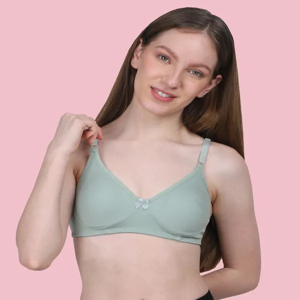Arise_Beauty_Comfirt_Fit_Combo_(Beige/Pista)_T-shirt_Bra,_Non_Padded,_Wire-free