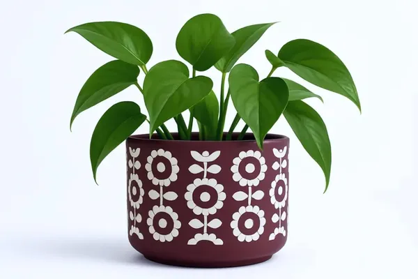 White_Terracotta_Planters_For_Home_Decor_|_Handmade_Flower_Pots_For_Garden_|_Artistic_Plant_Pot_With_White_Floral_Design_&_Drainage_Hole