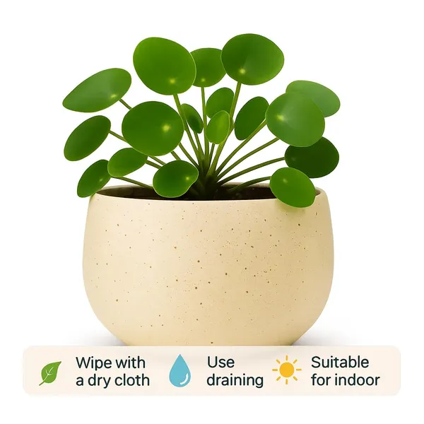 Beige_Terracotta_Planters_For_Home_Decor_|_Handmade_Flower_Pots_For_Garden_|_Plant_Pot