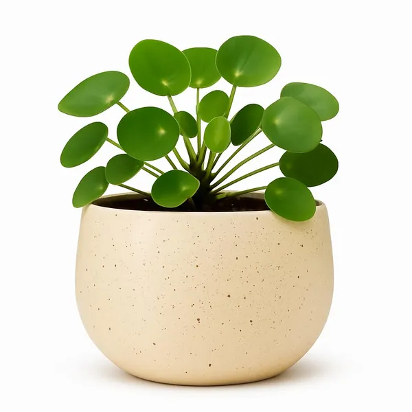 Beige_Terracotta_Planters_For_Home_Decor_|_Handmade_Flower_Pots_For_Garden_|_Plant_Pot