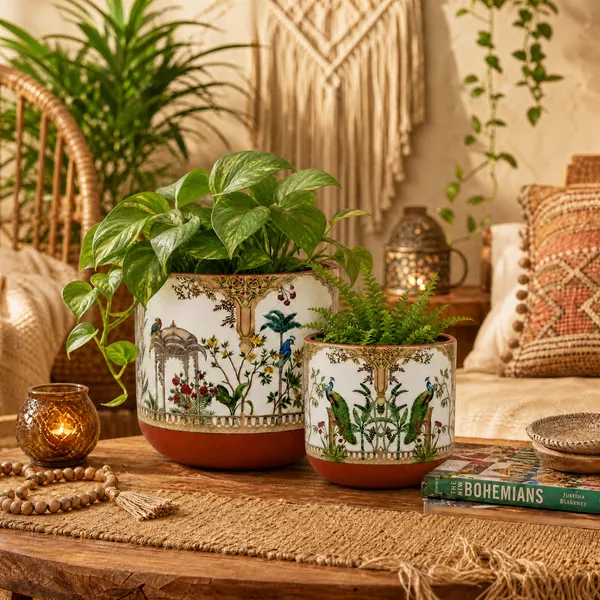 Beige_Royal_Peacock_Handcrafted_Terracotta_Planter_Set_of_2_|_Glass_Coated_Finish,_Hand-Painted_Botanical_&_Peacock_Design_|_Flower_Pots_for_Home_Decor,_Living_Room_&_Indoor_Plants