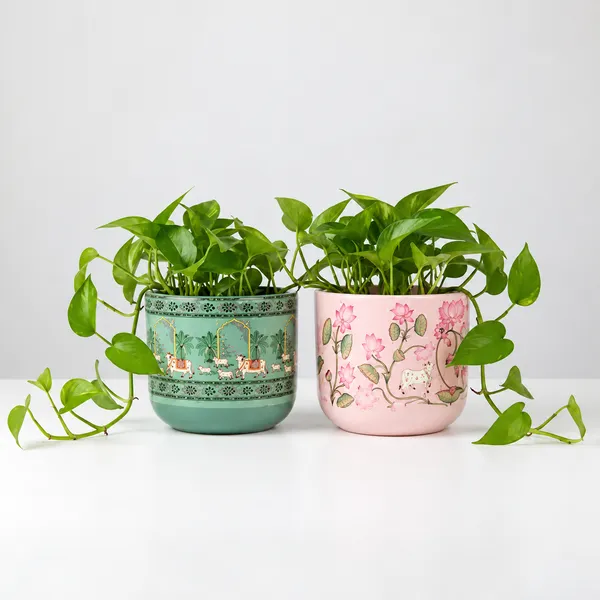 Terracotta_Planter_combo_of_Pichwai_Pink_&_Green_Collection_–_Premium_Glass_Coated_Peacock_Design_Planters_for_Home_Decor_|_Artistic_Flower_Pots_for_Garden_&_Indoor_Plant_Pot