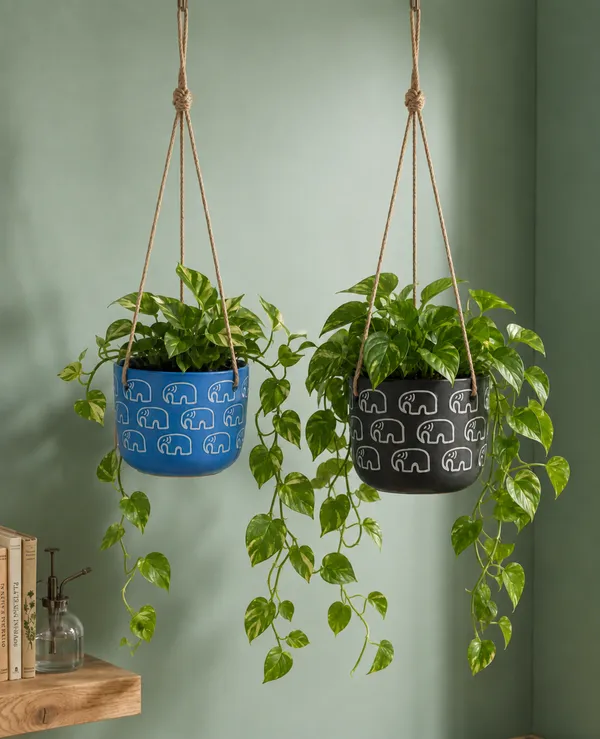 Elephant_Motif_Handcrafted_Terracotta_Hanging_Planters,_Set_of_2_(Blue_&_Black)_|_Jute_Rope_Hanger_|_Indoor_Hanging_Pots_for_Plants,_Balcony_&_Home_Decor_|_11.4cm_Dia_x_10cm_Height