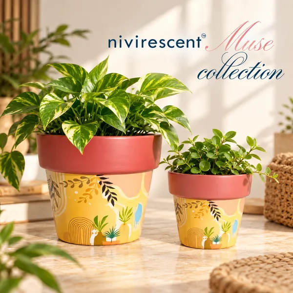 Prakruti_Pair_from_Nivirescent's_Muse_Collection,_Set_of_2_Terracotta_Planters_for_Home_Decor_and_Gifting,_4Inch_&_6Inch