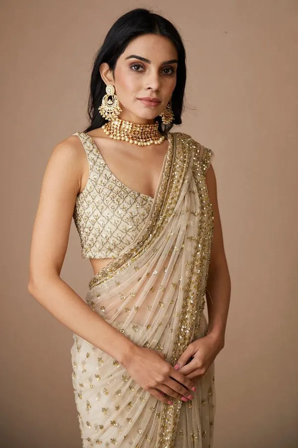 Butterfly_Net_Saree_with_Sequins_&_Dori_Embroidery_with_Unstitched_Blouse.