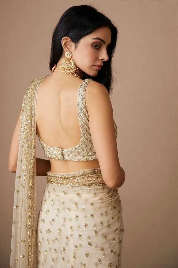 Butterfly_Net_Saree_with_Sequins_&_Dori_Embroidery_with_Unstitched_Blouse.