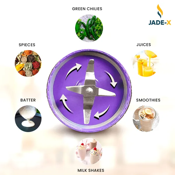 Purple_Abs_Premium_&_Elegant_Mixer_Grinder