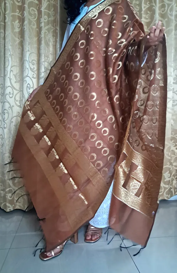 Brown_Banarsi_Premium_&_Elegant_Dupatta_For_Women