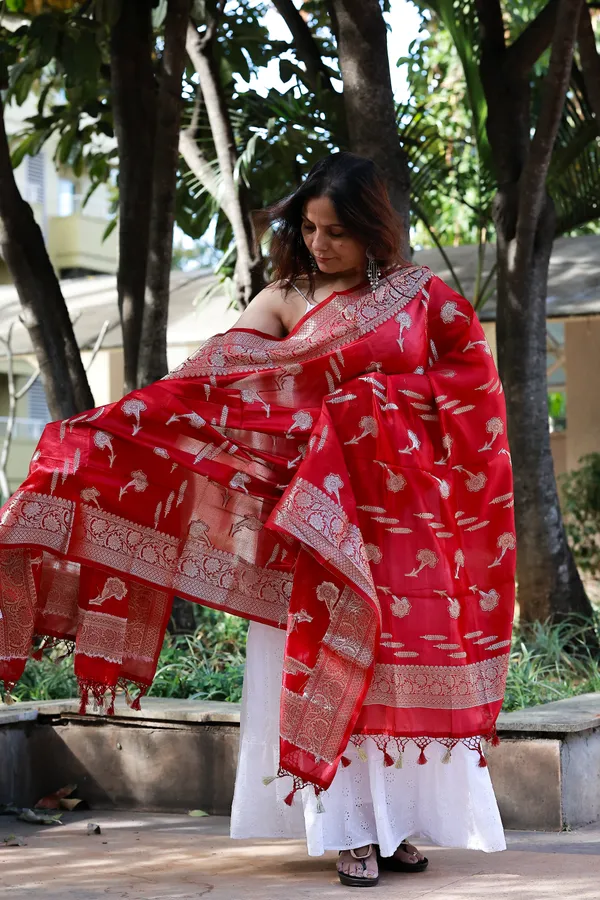 Red_Katan_Silk_Border_Buti_Banarasi_Dupatta_For_Women