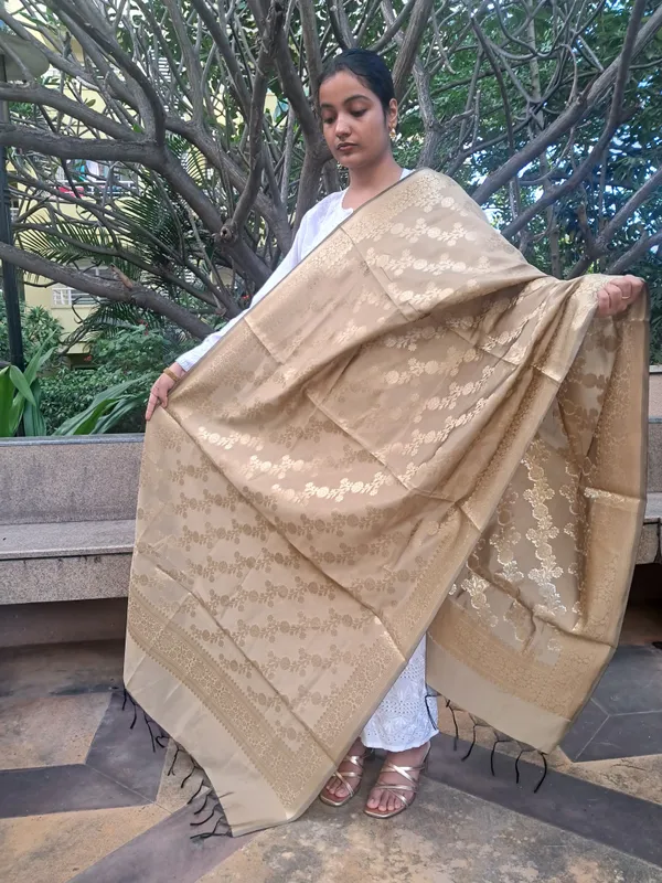 Golden_Banarsi_Premium_&_Elegant_Dupatta_For_Women