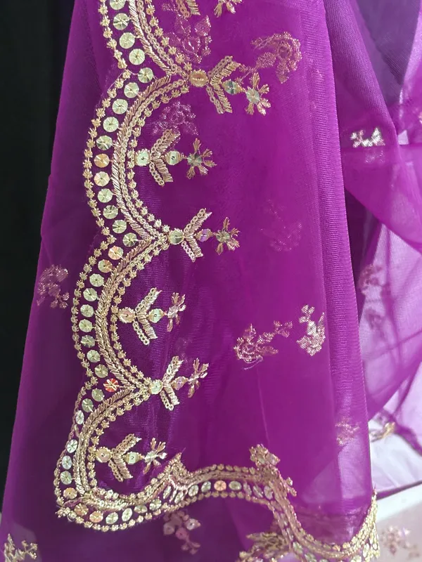 Cutwork_Sequence_Net_Dupatta
