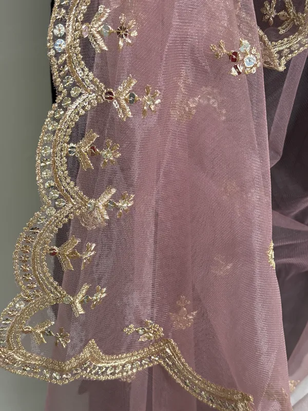 Cutwork_Sequence_Net_Dupatta