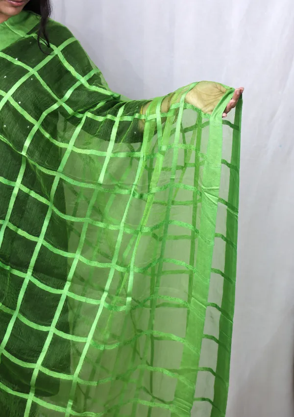 Green_Tissue_Lining_Dupatta