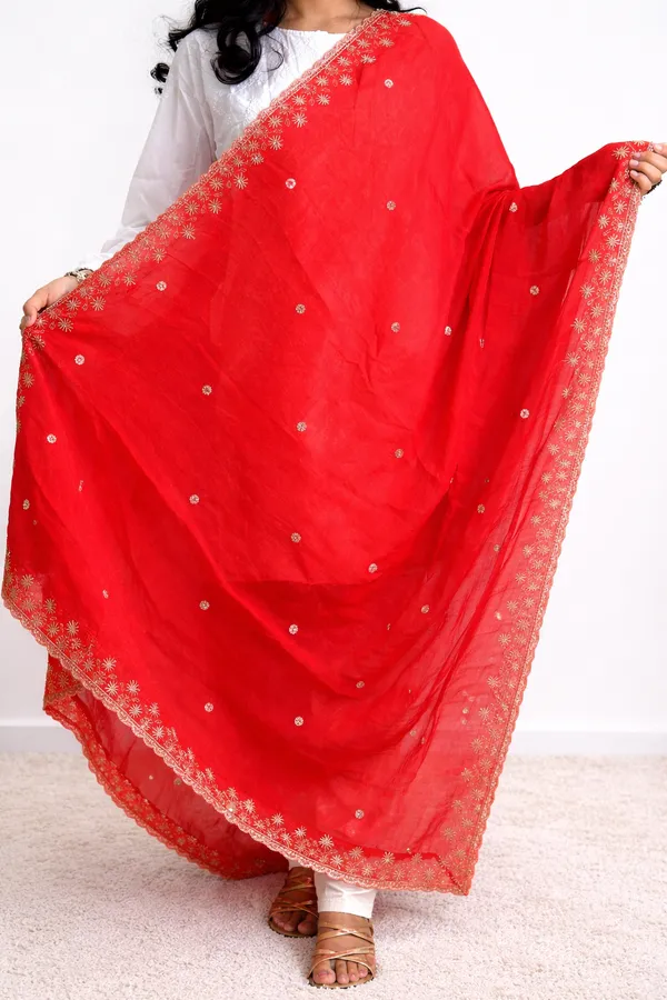 Hand_work_embroidered_dupatta