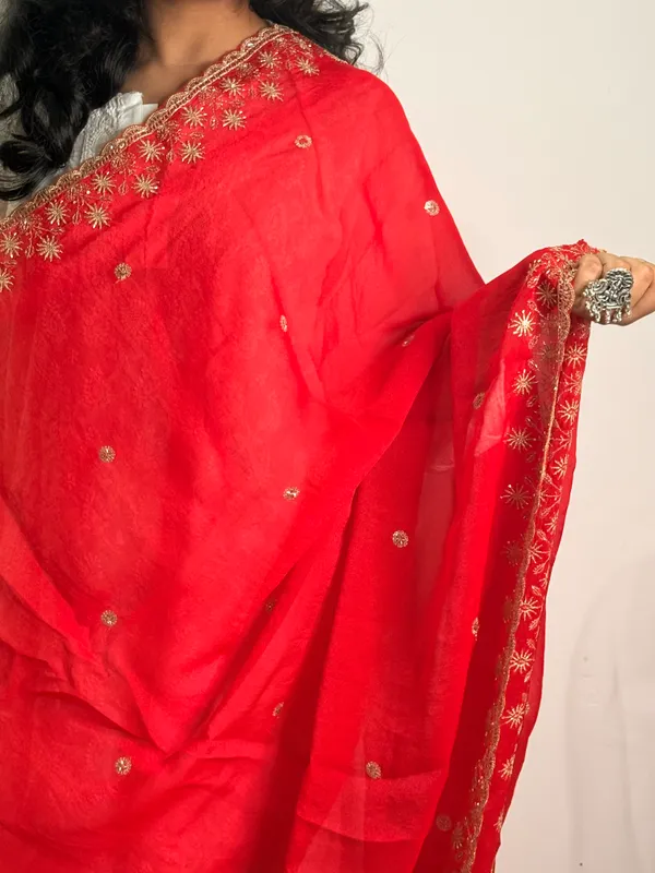 Hand_work_embroidered_dupatta